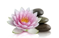 Fay Bailey for Healing Therapies in Cumbria